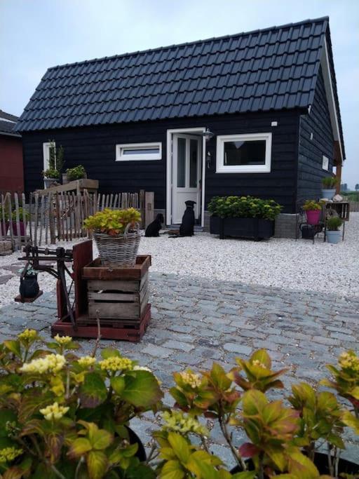 Wellness Chalet Met Jacuzzi, Sauna, Omheinde Tuin, Sint Annaland Exterior photo